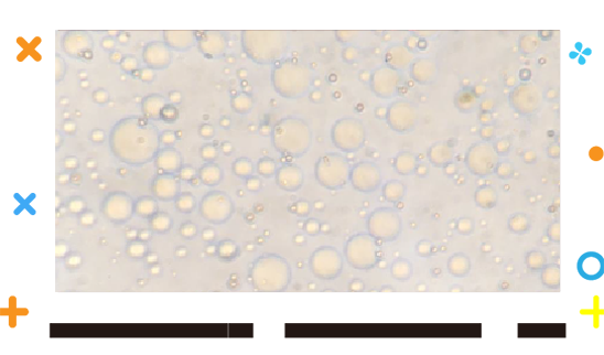 Homogenelty-01-1.png Homogenelty-01-1.png