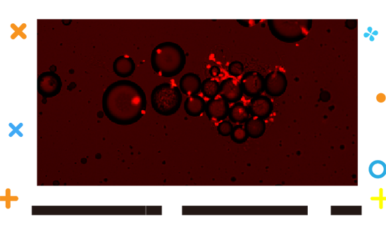 Viable-Cell-01-1.png Viable-Cell-01-1.png
